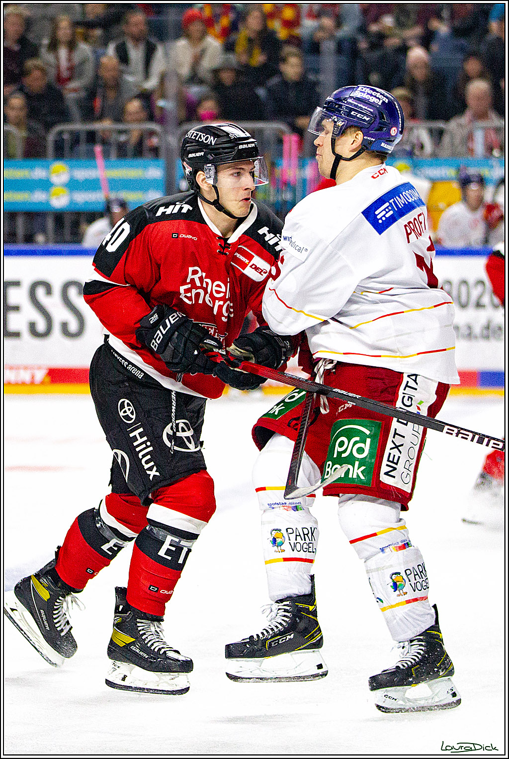 PENNY DEL;  Koelner Haie - Duesseldorfer EG; Koeln, 19.10.2021